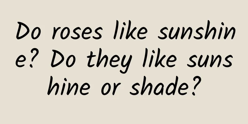 Do roses like sunshine? Do they like sunshine or shade?