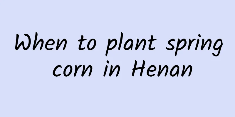 When to plant spring corn in Henan