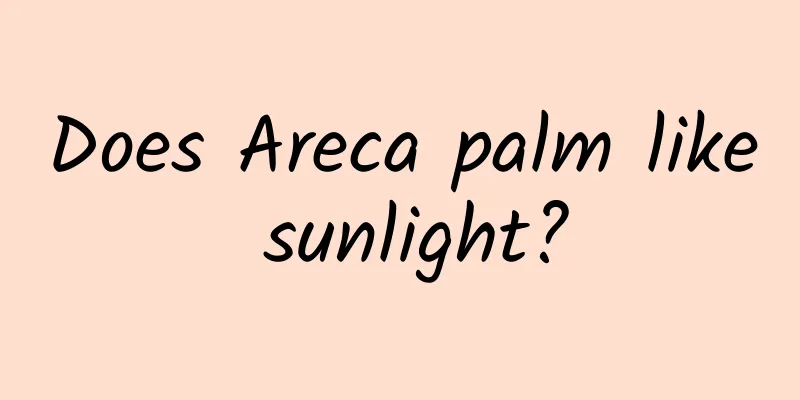 Does Areca palm like sunlight?