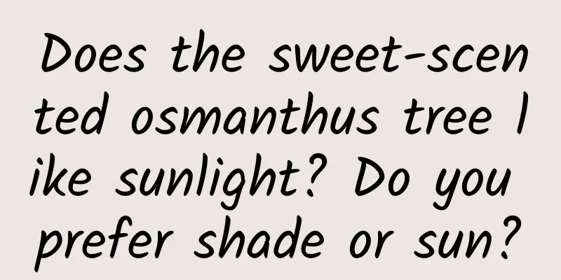 Does the sweet-scented osmanthus tree like sunlight? Do you prefer shade or sun?