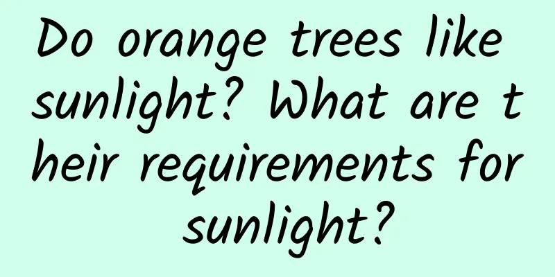Do orange trees like sunlight? What are their requirements for sunlight?
