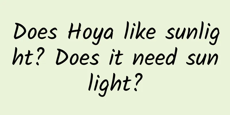 Does Hoya like sunlight? Does it need sunlight?