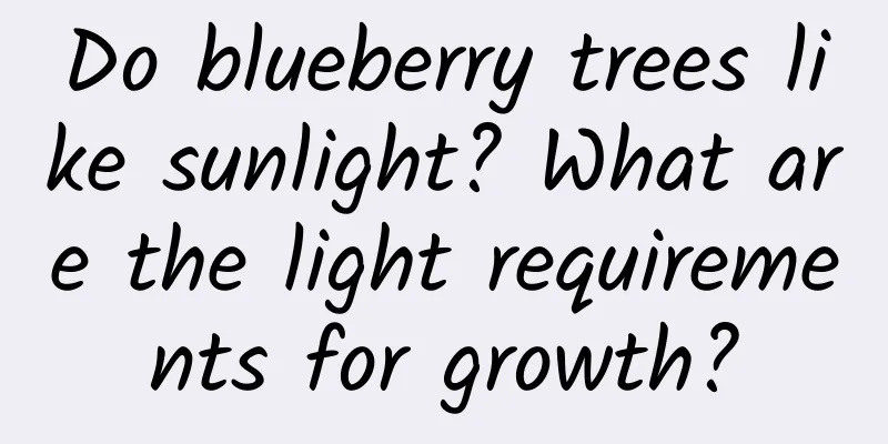 Do blueberry trees like sunlight? What are the light requirements for growth?