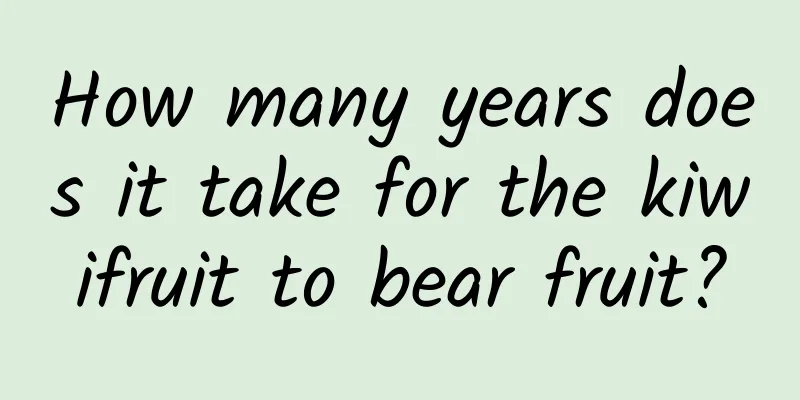 How many years does it take for the kiwifruit to bear fruit?