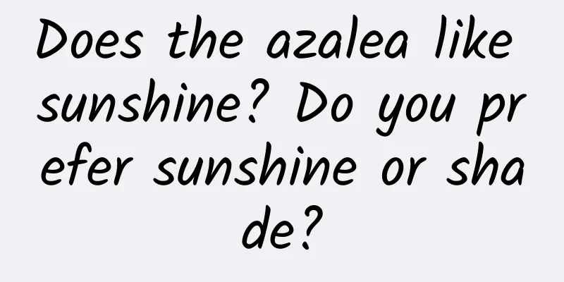 Does the azalea like sunshine? Do you prefer sunshine or shade?