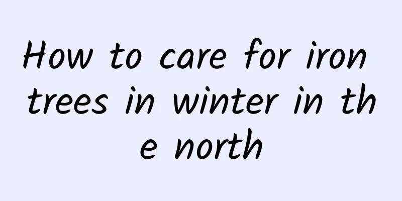 How to care for iron trees in winter in the north
