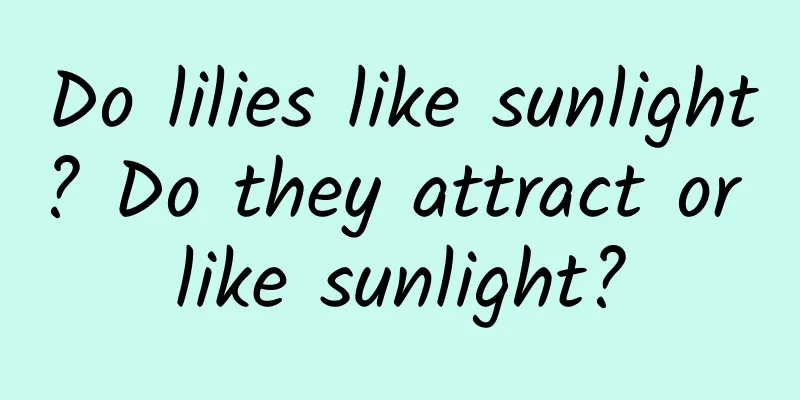Do lilies like sunlight? Do they attract or like sunlight?