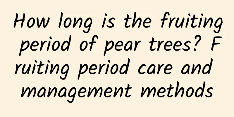 How long is the fruiting period of pear trees? Fruiting period care and management methods