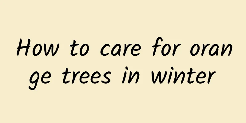 How to care for orange trees in winter