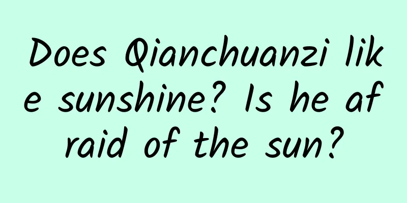 Does Qianchuanzi like sunshine? Is he afraid of the sun?