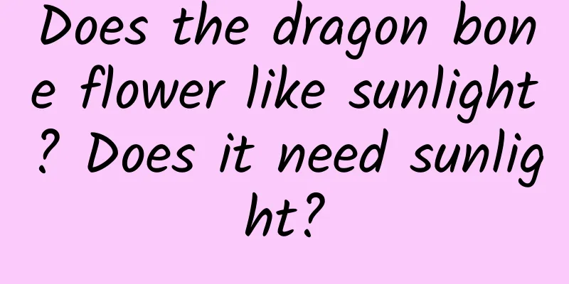 Does the dragon bone flower like sunlight? Does it need sunlight?