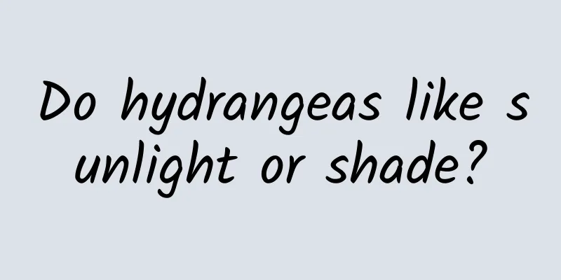 Do hydrangeas like sunlight or shade?