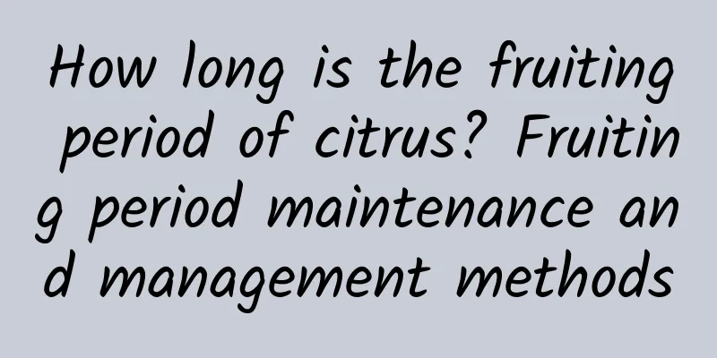 How long is the fruiting period of citrus? Fruiting period maintenance and management methods
