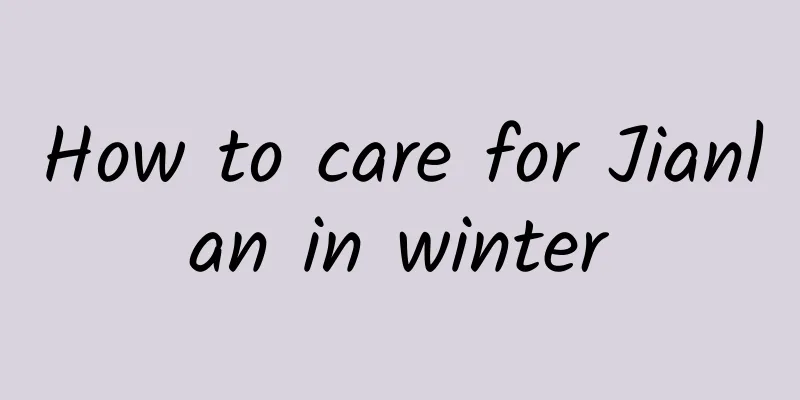 How to care for Jianlan in winter