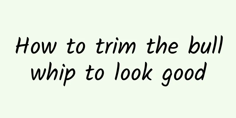 How to trim the bullwhip to look good