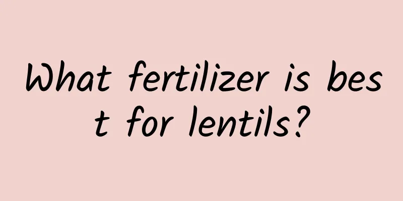 What fertilizer is best for lentils?