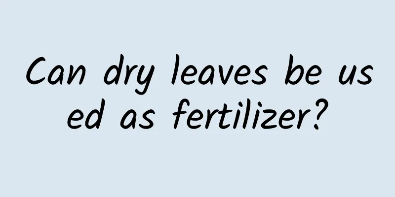 Can dry leaves be used as fertilizer?