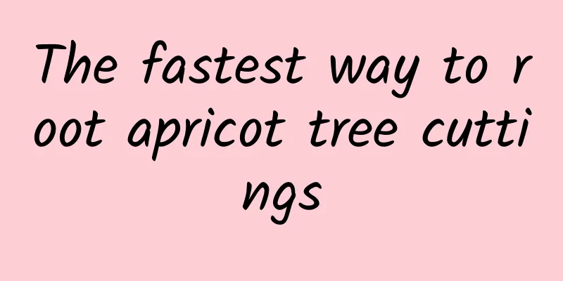 The fastest way to root apricot tree cuttings