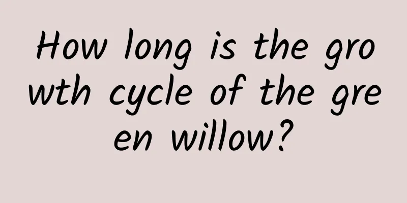 How long is the growth cycle of the green willow?