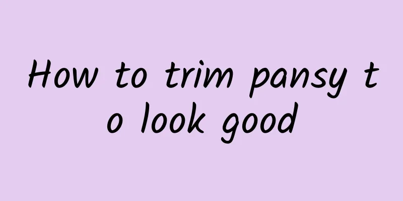 How to trim pansy to look good
