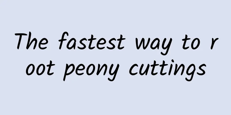 The fastest way to root peony cuttings