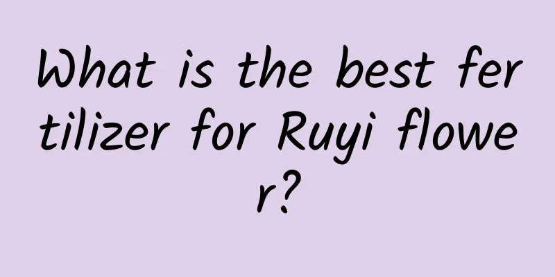 What is the best fertilizer for Ruyi flower?