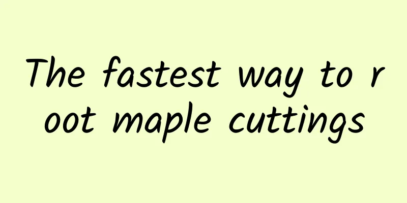 The fastest way to root maple cuttings