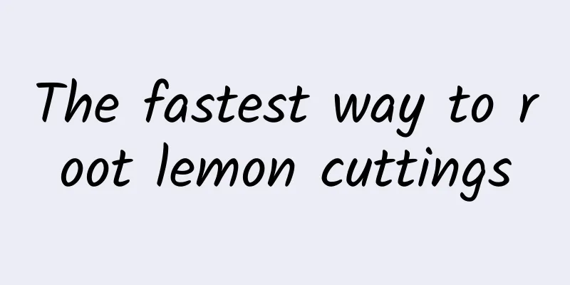 The fastest way to root lemon cuttings