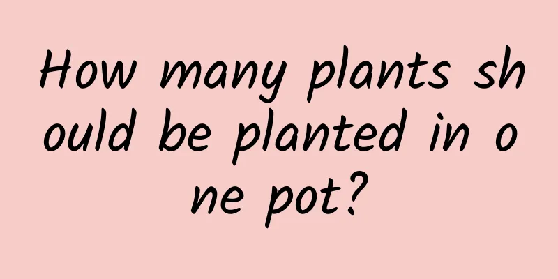 How many plants should be planted in one pot?