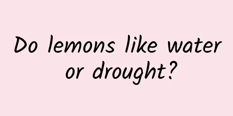 Do lemons like water or drought?