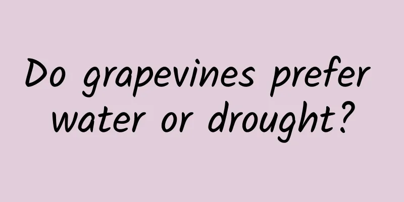 Do grapevines prefer water or drought?