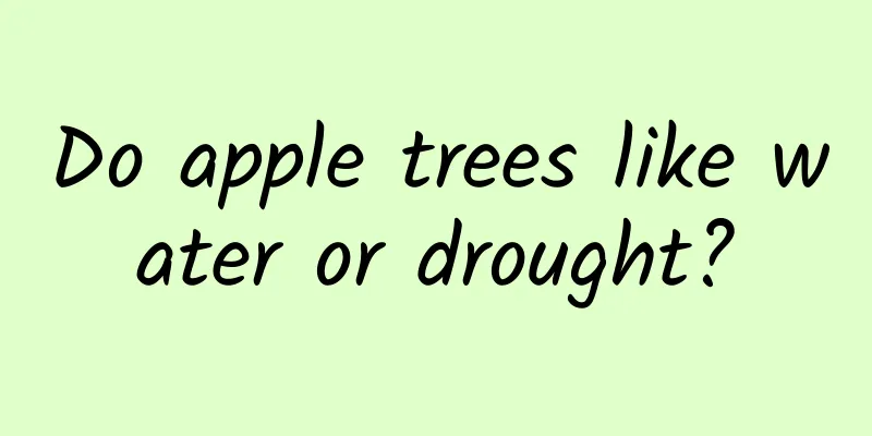 Do apple trees like water or drought?