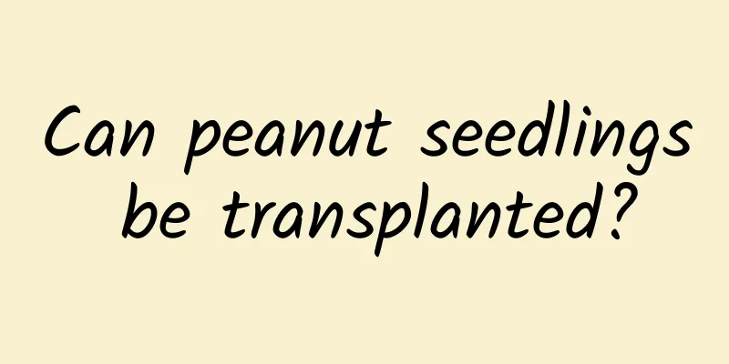 Can peanut seedlings be transplanted?