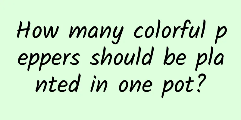 How many colorful peppers should be planted in one pot?