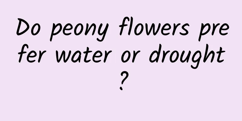 Do peony flowers prefer water or drought?