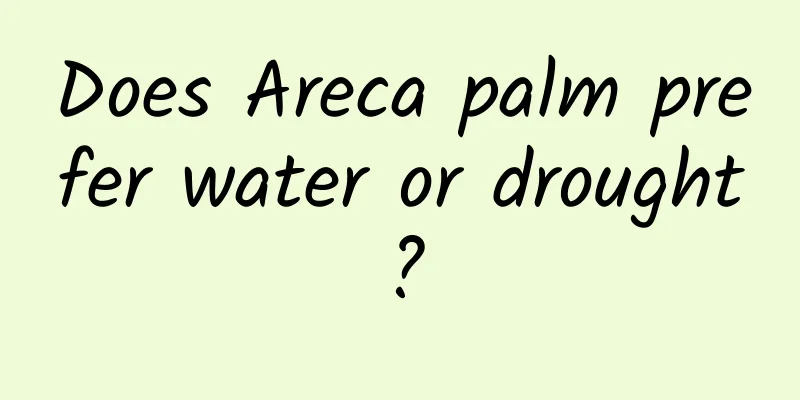 Does Areca palm prefer water or drought?