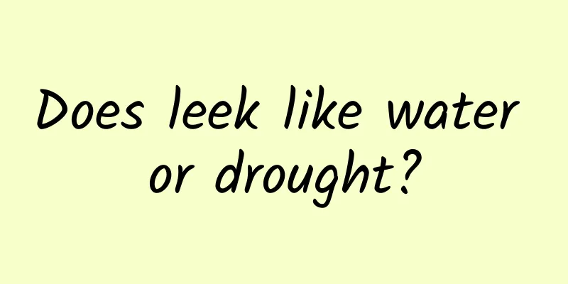 Does leek like water or drought?