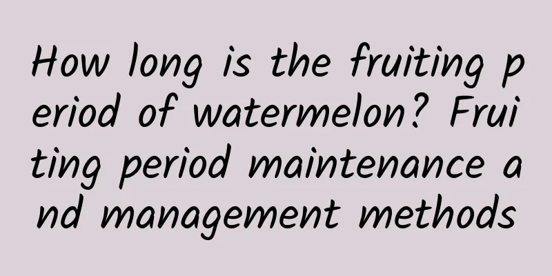 How long is the fruiting period of watermelon? Fruiting period maintenance and management methods