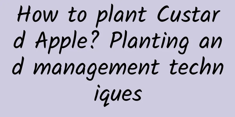 How to plant Custard Apple? Planting and management techniques