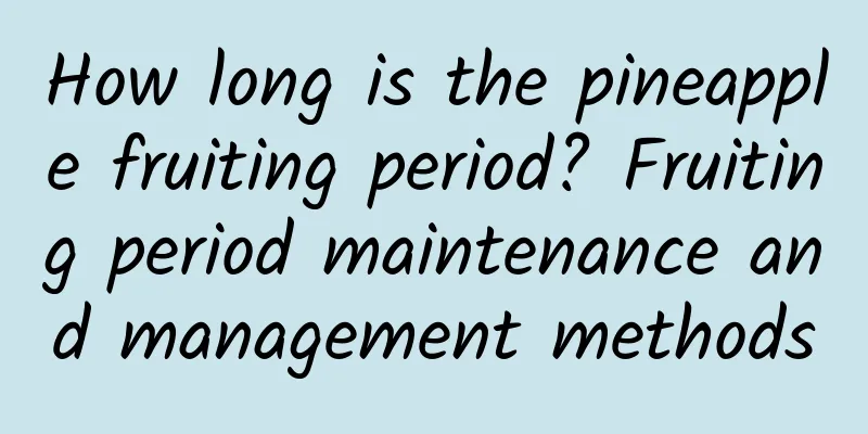 How long is the pineapple fruiting period? Fruiting period maintenance and management methods