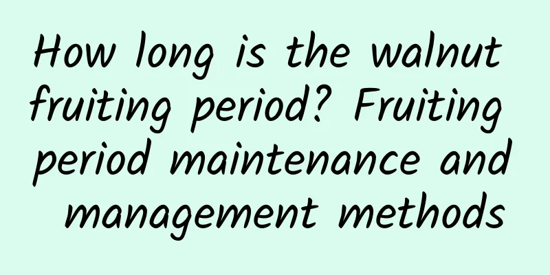 How long is the walnut fruiting period? Fruiting period maintenance and management methods