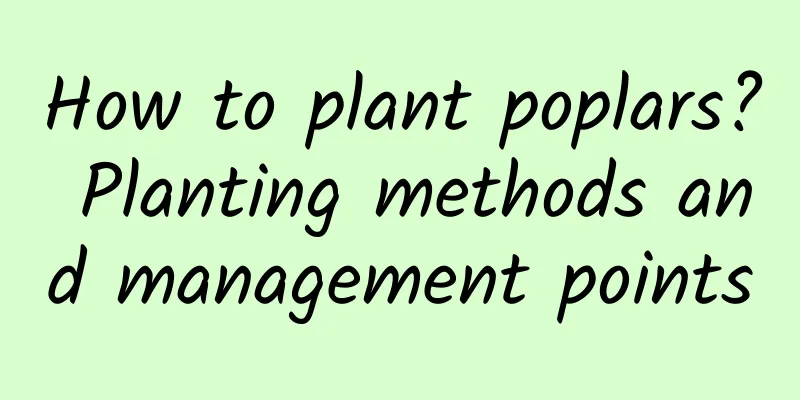 How to plant poplars? Planting methods and management points
