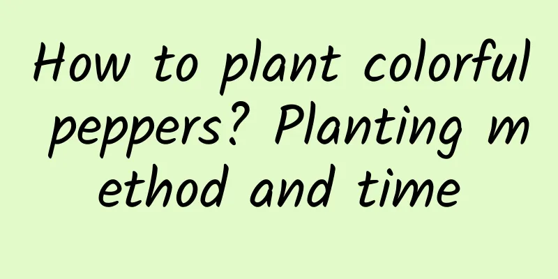 How to plant colorful peppers? Planting method and time