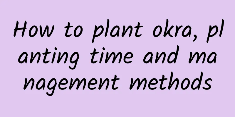How to plant okra, planting time and management methods