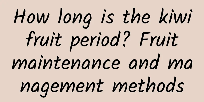 How long is the kiwi fruit period? Fruit maintenance and management methods
