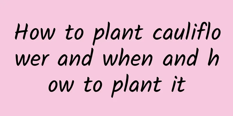 How to plant cauliflower and when and how to plant it
