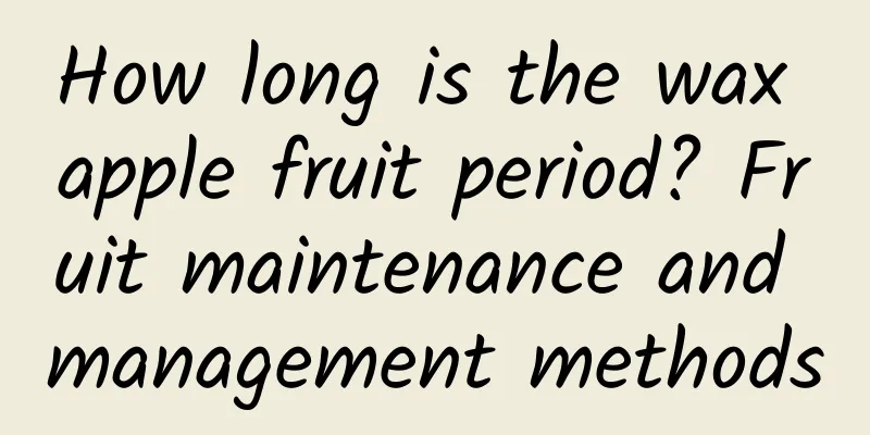How long is the wax apple fruit period? Fruit maintenance and management methods