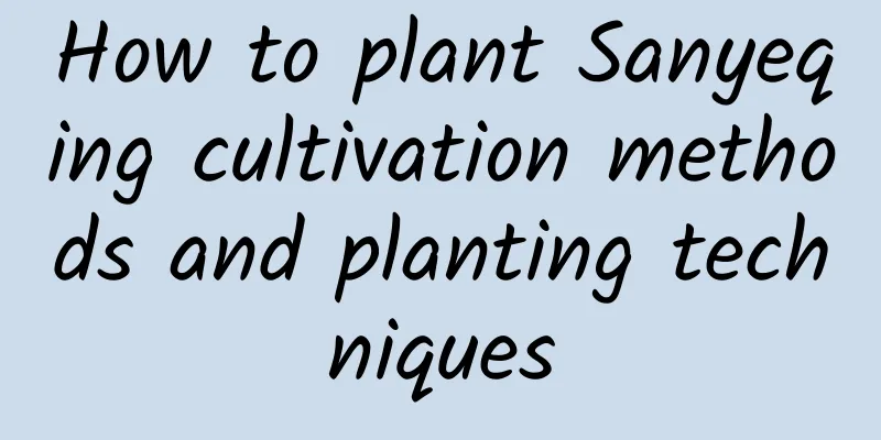How to plant Sanyeqing cultivation methods and planting techniques