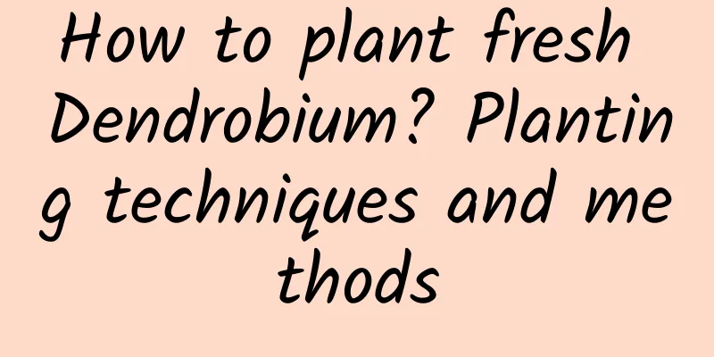 How to plant fresh Dendrobium? Planting techniques and methods