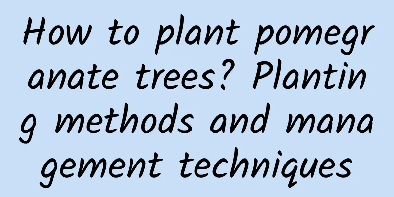 How to plant pomegranate trees? Planting methods and management techniques